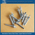 Ceiling Anchor Safety Nail Anchors